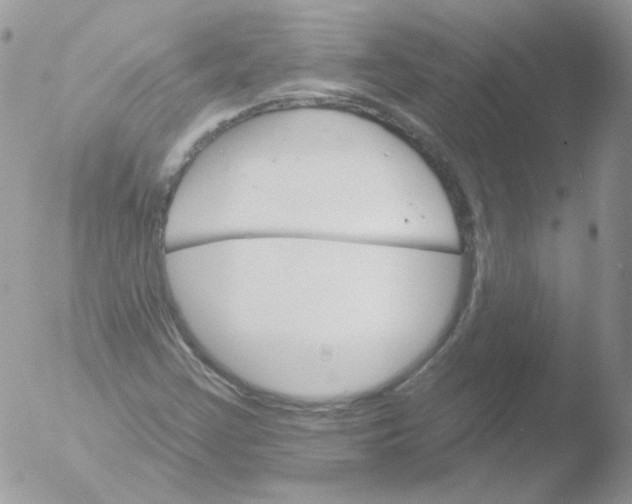 X0000051891355200507151928