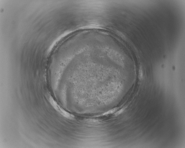 X0000051891356200507151928