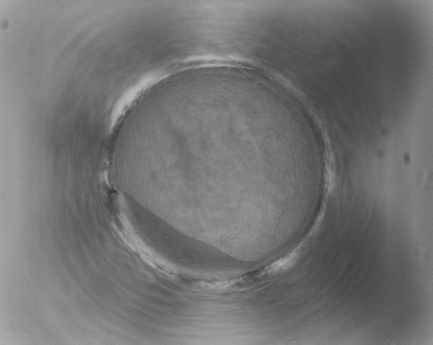 X0000051891357200507151928