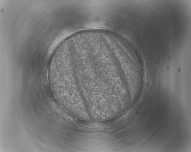 X0000051891358200507151928