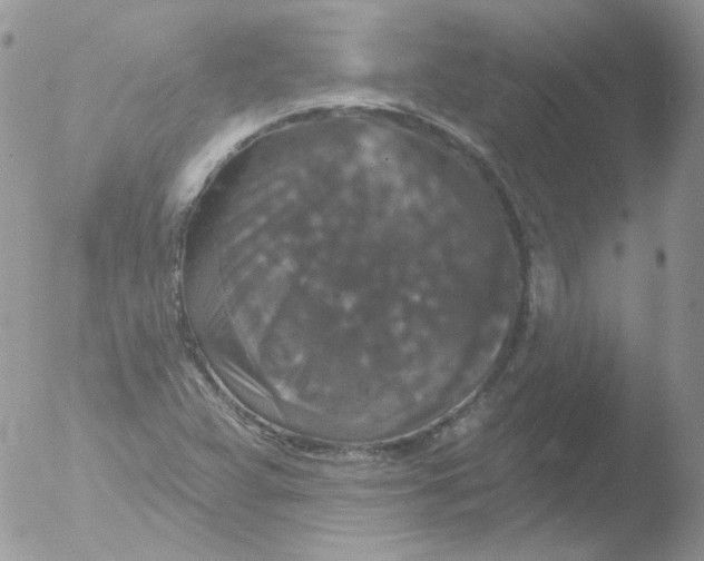 X0000051891359200507151928