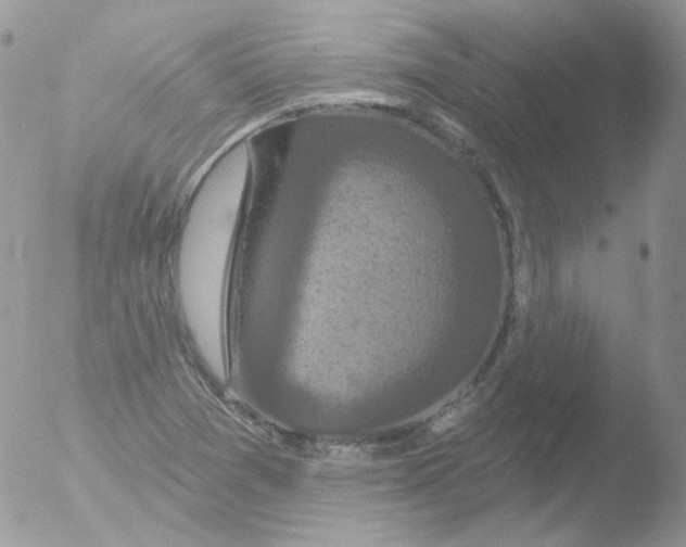 X0000051891361200507151928