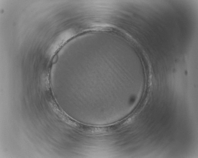 X0000051891362200507151927