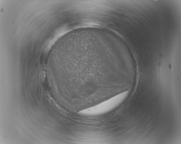 X0000051891363200507151927