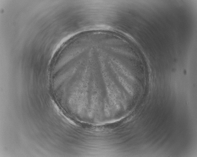 X0000051891364200507151927