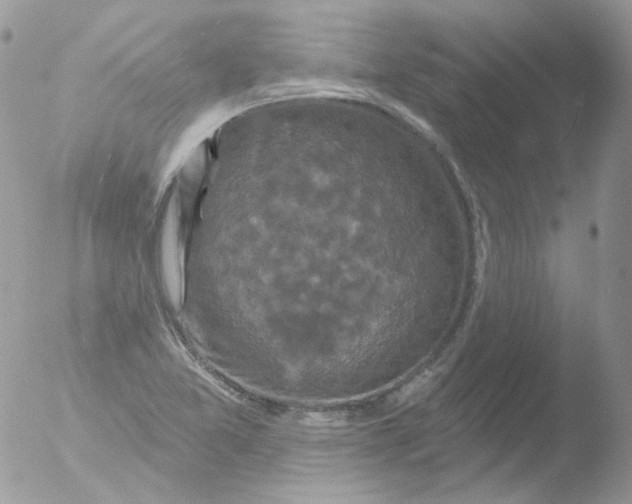 X0000051891365200507151927