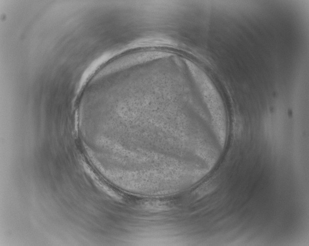 X0000051891366200507151927