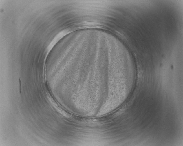 X0000051891370200507151927