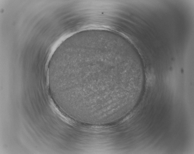 X0000051891371200507151927