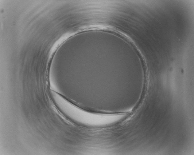 X0000051891373200507151927