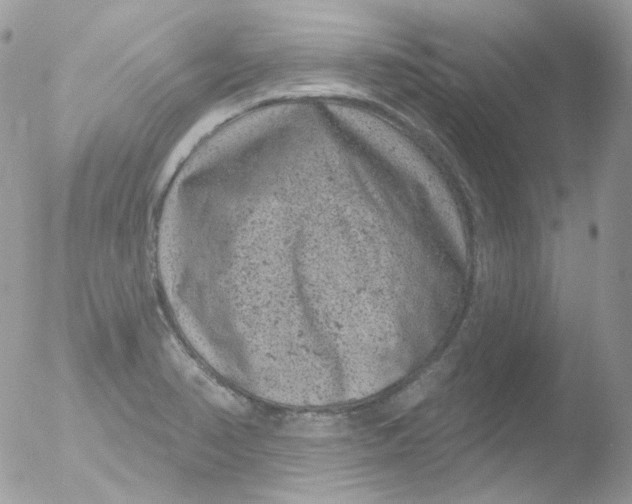 X0000051891374200507151927