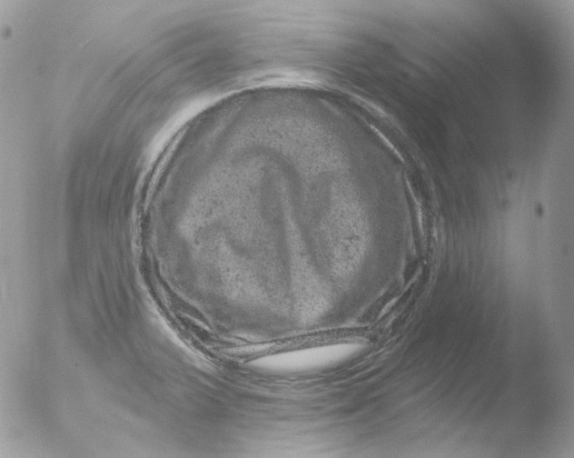 X0000051891375200507151927