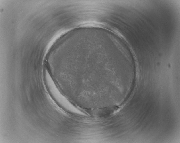 X0000051891376200507151927