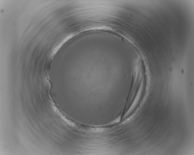 X0000051891377200507151927