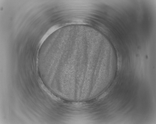 X0000051891378200507151927