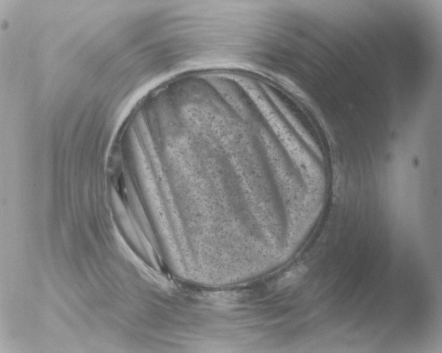 X0000051891380200507151927