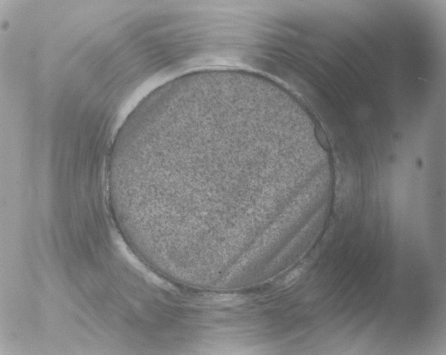 X0000051891382200507151927