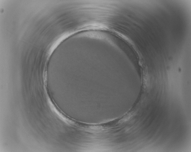 X0000051891383200507151927