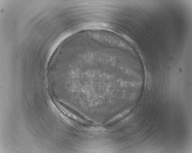 X0000051891384200507151927