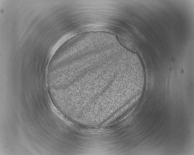 X0000051891386200507151927