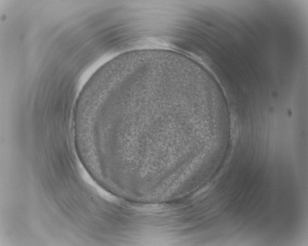 X0000051891387200507151927