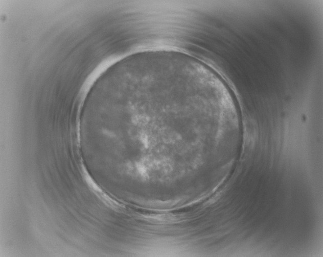 X0000051891388200507151927