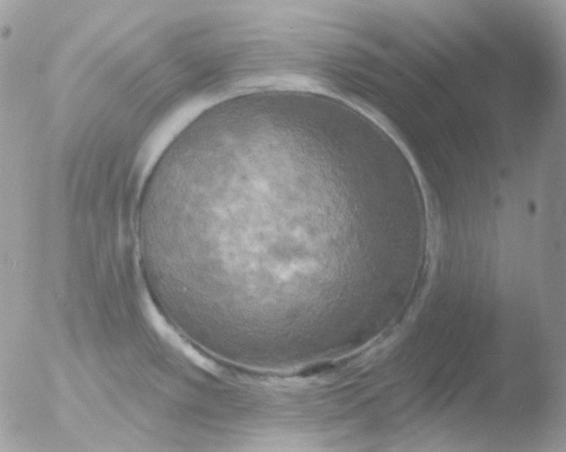 X0000051891389200507151927