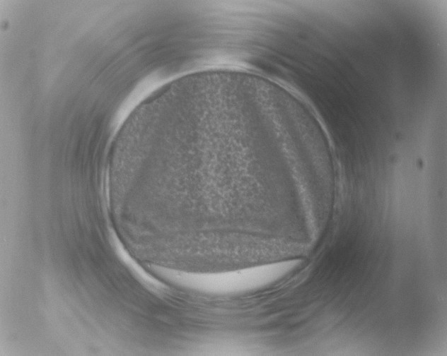 X0000051891391200507151927