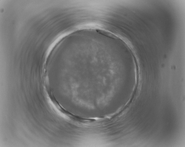 X0000051891392200507151927