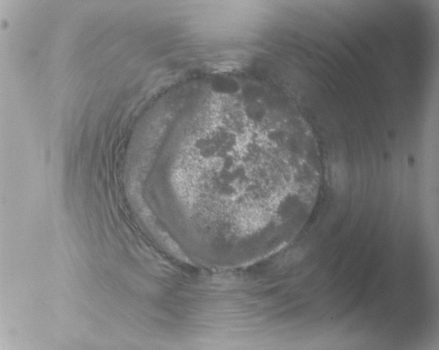 X0000051891393200507151926