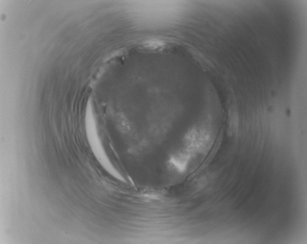 X0000051891394200507151926