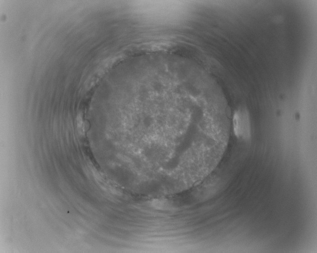 X0000051891395200507151926