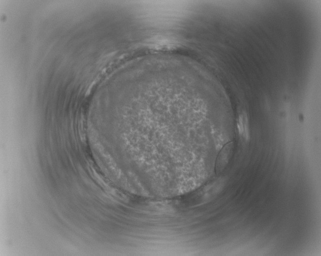 X0000051891396200507151926