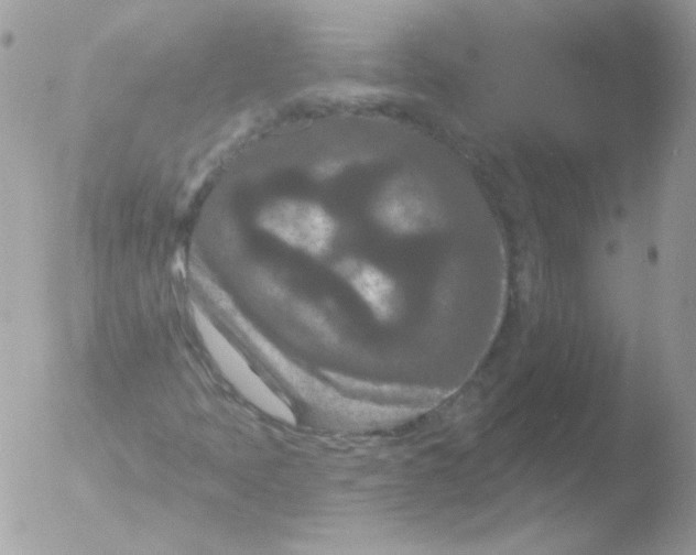 X0000051891397200507151926