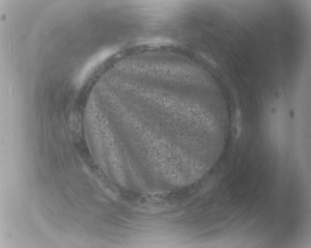 X0000051891398200507151926