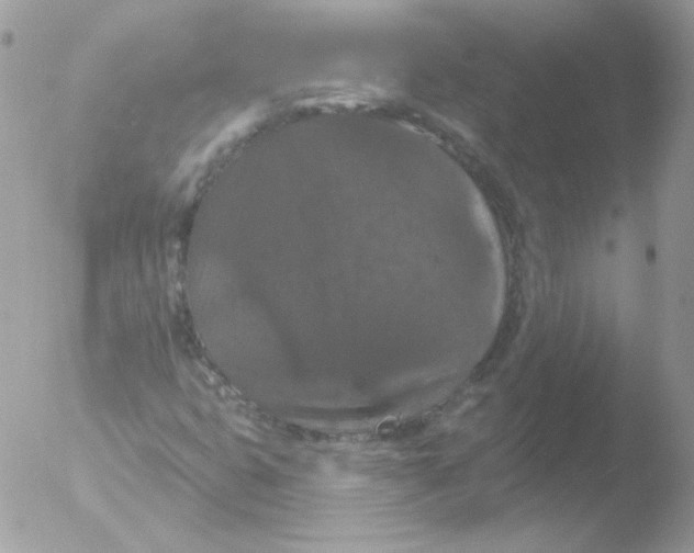 X0000051891399200507151926