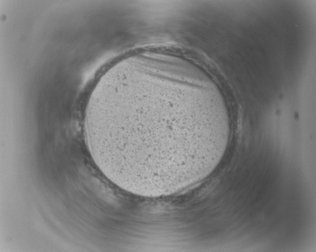 X0000051891400200507151926