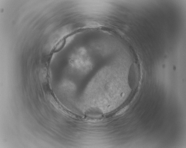 X0000051891401200507151926