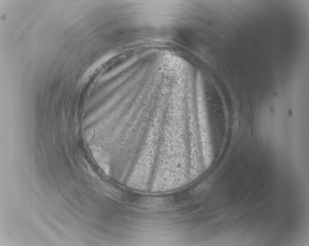 X0000051891402200507151926