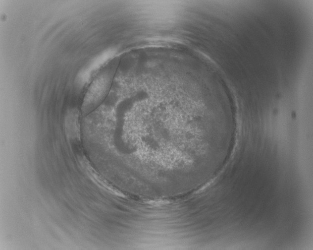 X0000051891403200507151926