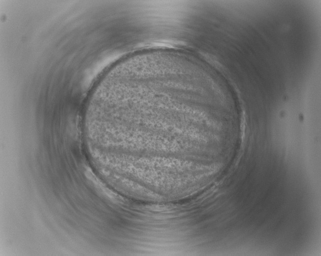 X0000051891404200507151926