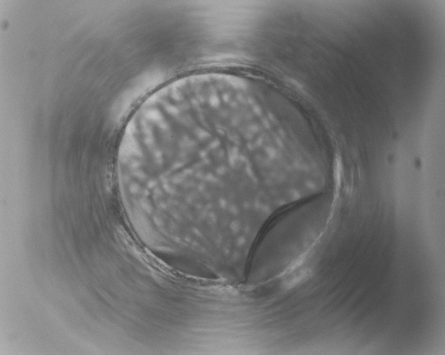 X0000051891405200507151926