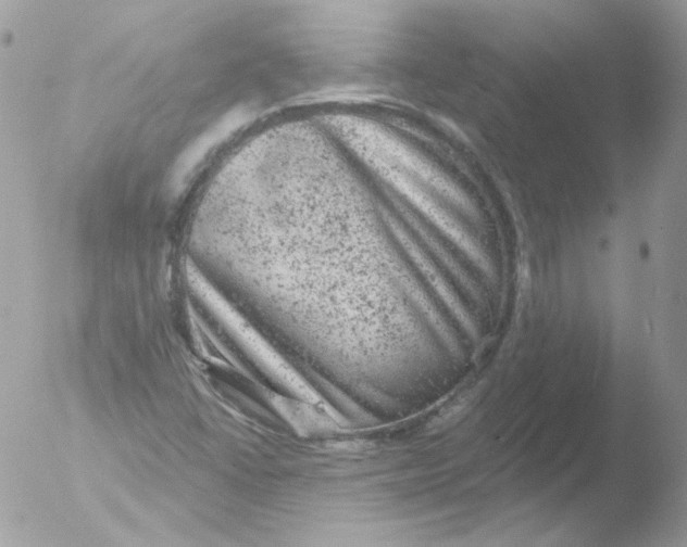 X0000051891406200507151926