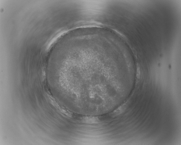 X0000051891407200507151926