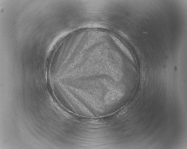 X0000051891408200507151926