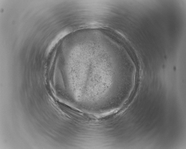 X0000051891410200507151926