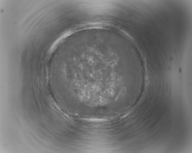 X0000051891411200507151926