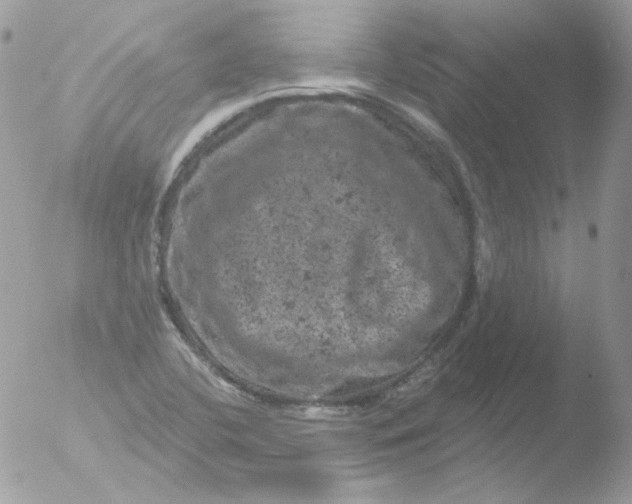 X0000051891412200507151926