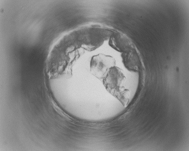 X0000051891413200507151926