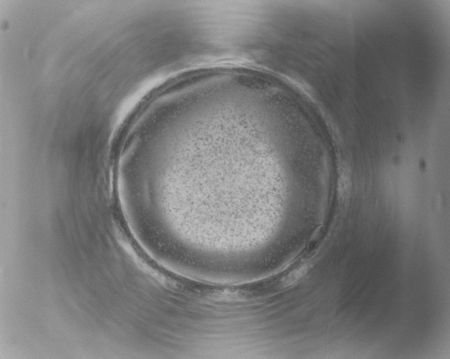 X0000051891414200507151927